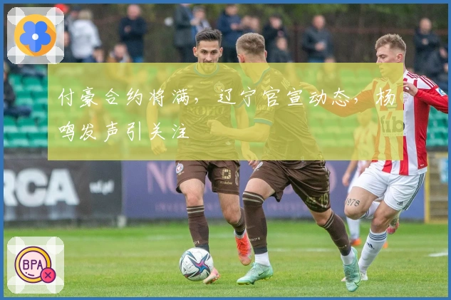 付豪合约将满，辽宁官宣动态，杨鸣发声引关注