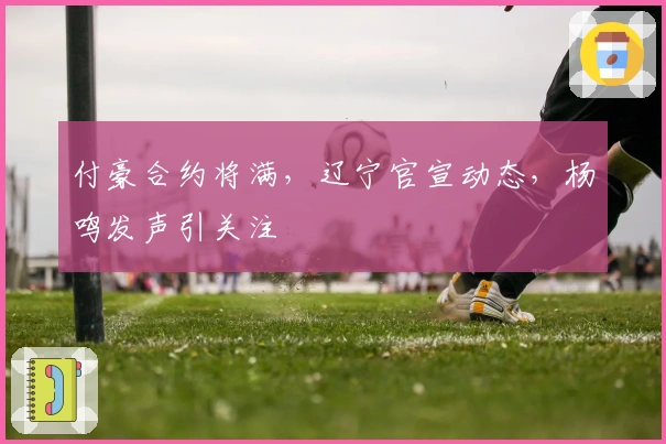 付豪合约将满，辽宁官宣动态，杨鸣发声引关注